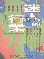 迷人的行业 广告、电视、广播、杂志、唱片 1995 PDF电子版封面 9576071720 张靓菡等著;周丽玲主编