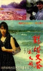 鹤城文荟 1998 PDF电子版封面 张智敏主编