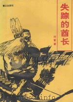 失踪的酋长 1992 PDF电子版封面 7805335524 刘霄著