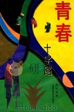 青春十字路 1998 PDF电子版封面 781010392X 冯从岳著