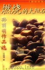燃烧的太阳石 孙丽萌作品选 1999 PDF电子版封面 7501419590 孙丽萌著