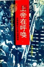 上帝在呼唤 中国假冒伪劣商品透视录 1993 PDF电子版封面 750274018X 杨渭源