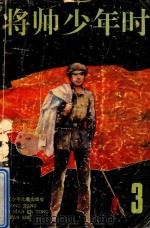 将帅少年时 3 1989 PDF电子版封面 7531905019 王长龙编