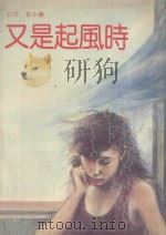又是起风时 1989 PDF电子版封面 7505701843 玄小佛著