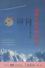新星升起的那段轨迹  二十五名青少年成才录   1991  PDF电子版封面  7805661693  李冶主编；刘世琦，李之熙，赵中副主编 