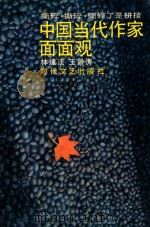 中国当代作家面面观 撕碎,撕碎,撕碎了是拼接 1991 PDF电子版封面 7538703470 林建法,王景涛著