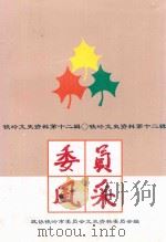 铁岭文史资料 第12辑 委员风采 1999 PDF电子版封面 郑学印主编