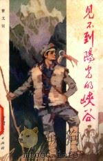 见不到阳光的峡谷 1986 PDF电子版封面 曹文汉著
