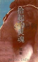 拾起的灵魂 1999 PDF电子版封面 7541976628 牧犁著