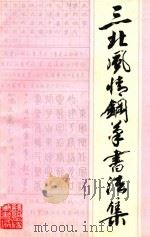 三北风情钢笔书法集 1989 PDF电子版封面 马华林,童心主编