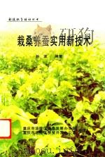 科技扶贫培训丛书  栽桑养蚕实用新技术（ PDF版）