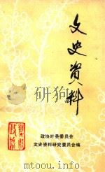 政协叶县文史资料 1985 PDF电子版封面 政协叶县委员会文史资料研究委员会主编