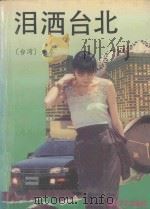 泪洒台北（1993 PDF版）