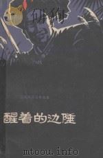 醒着的边陲（1980 PDF版）