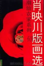 潮汕农家系列 肖映川版画选 1992 PDF电子版封面 753620857X
