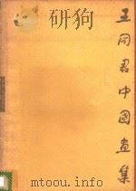 王同君中国画集 1995 PDF电子版封面 7531802961 王同君绘