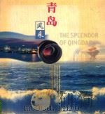 青岛风采  “海尔杯”青岛风采摄影大赛获奖作品集（1999 PDF版）