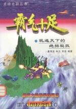 霸气十足（1998 PDF版）