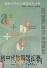 初中代数解题指要（1999 PDF版）