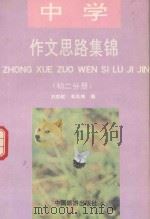 中学作文思路集锦  初二（1993 PDF版）