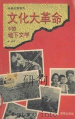 文化大革命中的地下文学  墓地与摇篮（1993 PDF版）