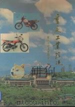 重庆工业综述（1996 PDF版）