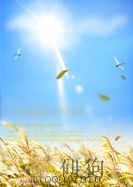 张学良评传（ PDF版）