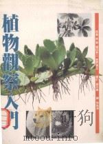 植物观察入门（1989 PDF版）