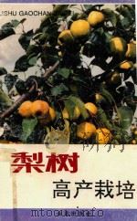 梨树高产栽培（1992 PDF版）