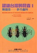 认识台湾的昆虫 1 鞘翅目 步行虫科 1993 PDF电子版封面 9575313011 王效岳,境野广行撰著
