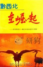 黔西北在崛起 纪念党的十一届三中全会召开十周年 1989 PDF电子版封面 中共毕节地委宣传部编