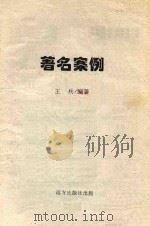 著名案例（ PDF版）