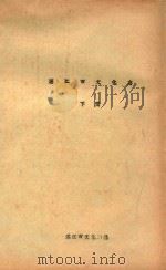 湛江市文化志  上（ PDF版）