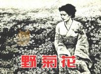 野菊花（ PDF版）