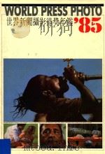 世界新闻摄影得奖年鉴'85（1985 PDF版）