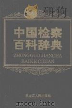 中国检察百科辞典（1993 PDF版）