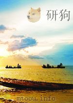 刑侦案例 3（ PDF版）