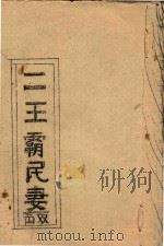 二王霸民妻  双击（ PDF版）