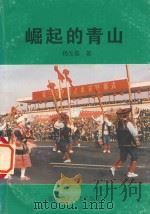 崛起的青山 1998 PDF电子版封面 962450206941225025 杨光磊著