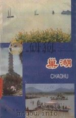 巢湖 1985 PDF电子版封面 巢湖文物管理所编著