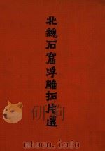 北魏石窟浮雕拓片选（1958 PDF版）