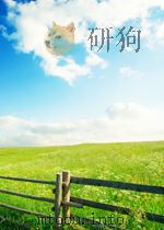 政府机构精减及职能转换的研究 试析毕节地区机构改革面临的困难与对策 1994 PDF电子版封面 毕节地区机构改革课题组编