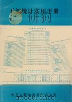 干部统计实用手册（1991 PDF版）