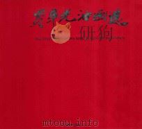 贾辛光油画选（1996 PDF版）