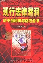 现行法律漏洞的不当利用与防范全书  上卷（ PDF版）