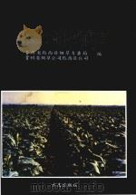 黔西县烟草志（1995 PDF版）