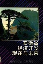 安徽省经济开发现在与未来 1999 PDF电子版封面 7801188160 周本立主编;朱先发副主编