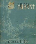 白描花卉写生（1976 PDF版）
