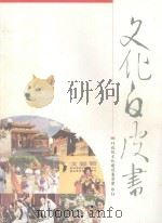文化白皮书  2004年（1998 PDF版）