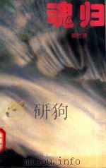 魂归 1994 PDF电子版封面 7536019793 戴胜德著